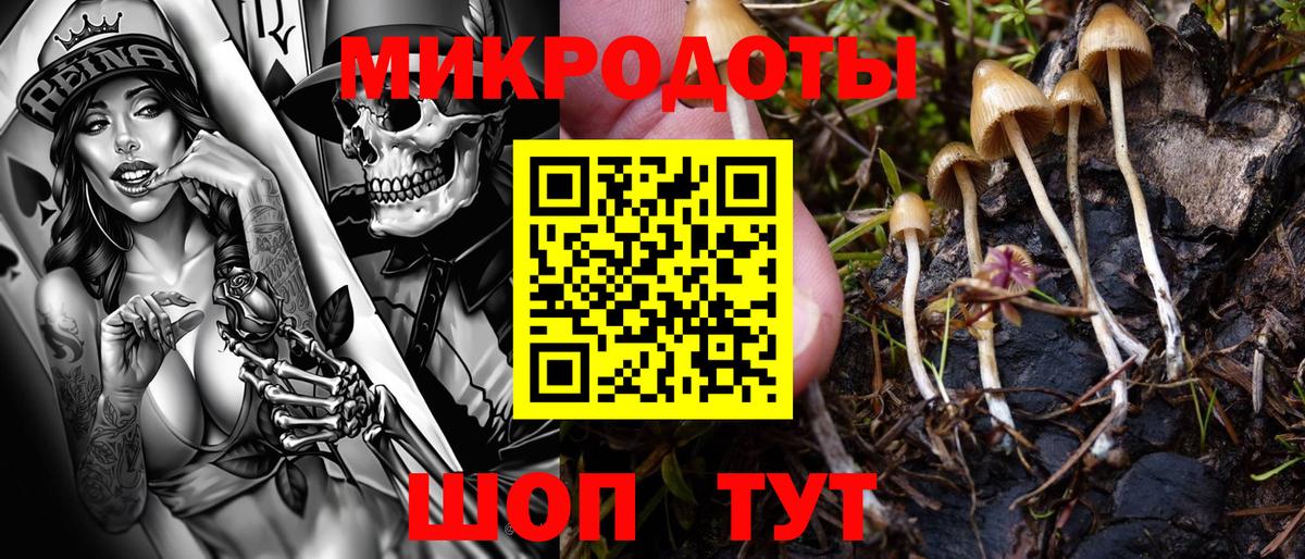 Псилоцибиновые грибы GOLDEN TEACHER Пушкино