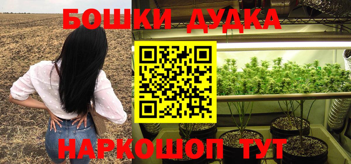 Бошки Шишки план Пушкино